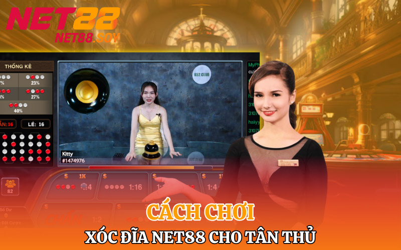 Cách chơi xóc đĩa Net88 cho tân thủ chi tiết